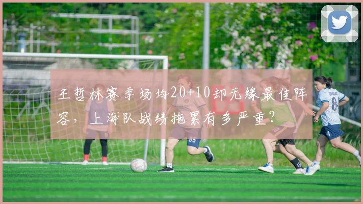王哲林赛季场均20+10却无缘最佳阵容,上海队战绩拖累有多严重?